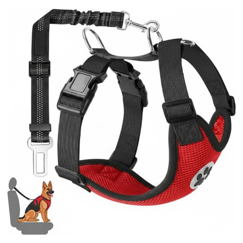 viajar en camper con perros