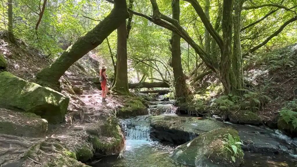 Senderista cruzando un puente de piedra rodeado de molinos y vegetación en la Ruta de la Pedra e da Auga.